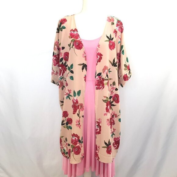 RUBZ Light Pink & Floral Overlay - Picture 1 of 6